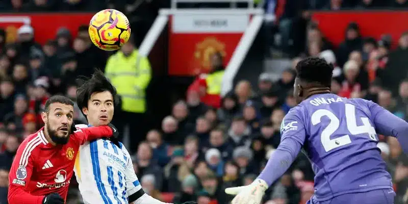 Tìm hiểu lịch sử đối đầu giữa Brighton vs Fulham