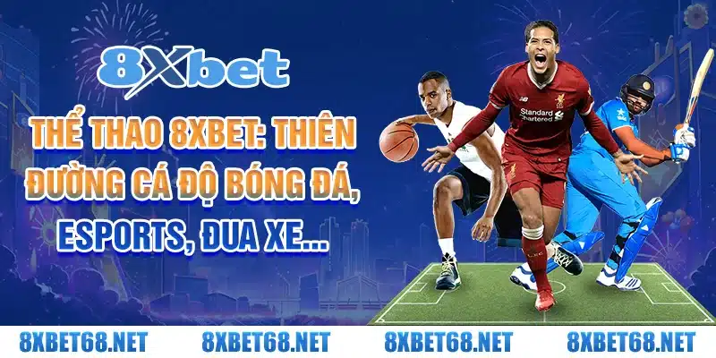 Thể thao 8xbet: Thiên đường cá độ bóng đá, esports, đua xe...