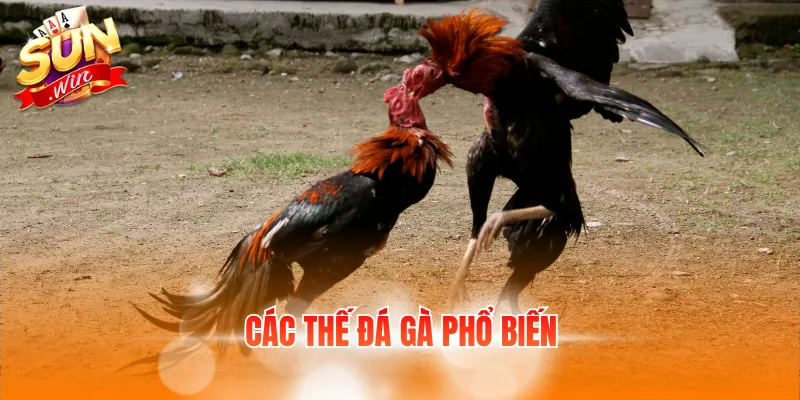 cac the da ga pho bien