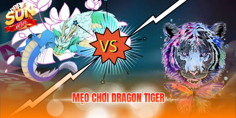 Mẹo Chơi Dragon Tiger – Bỏ Túi 5+ Bí Quyết Đặt Cược Hay 1 meo choi dragon tiger