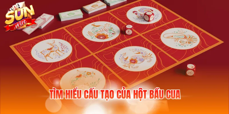 Tìm hiểu cấu tạo của hột bầu cua
